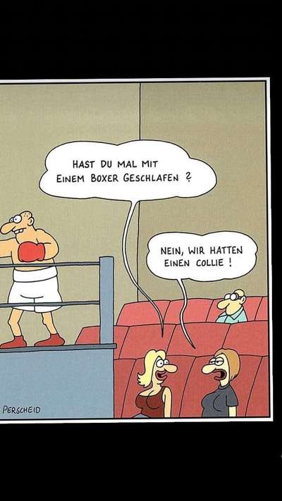 Hunde Memes-Beitrag-Bild