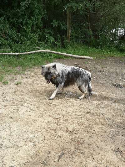 Moviestar-Pics!-Beitrag-Bild