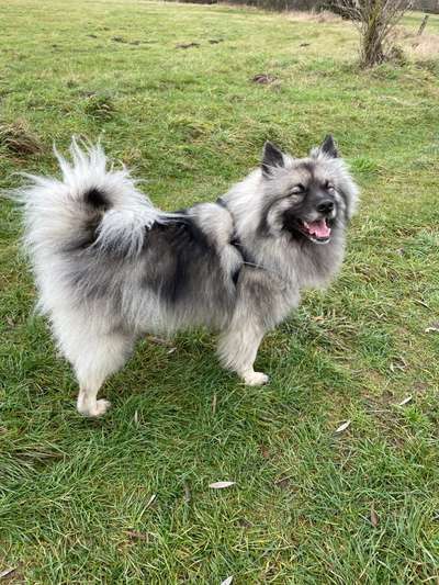 Moviestar-Pics!-Beitrag-Bild