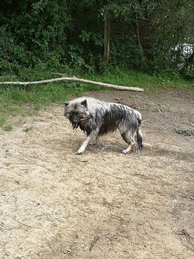 Foto Challenge - BEENDET - bitte aktuelle Challenge nutzen-Beitrag-Bild