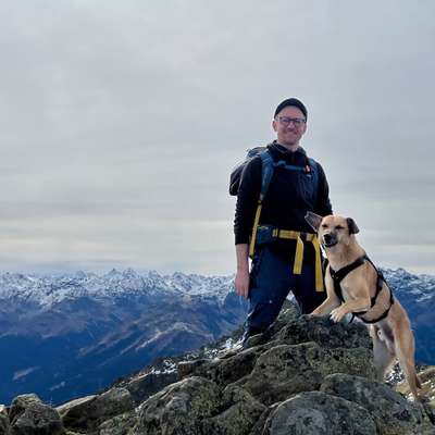 Hundetreffen-Waldspaziergang mit zwei/drei Hunden ohne Leine oder an der Schleppleine-Profilbild