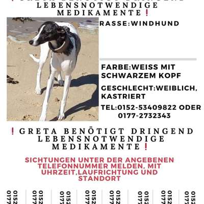 Suchmeldung-Greta-Bild