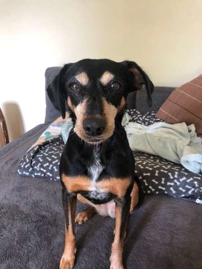 Gemeinsame Spaziergänge mit Senioren-Beitrag-Bild