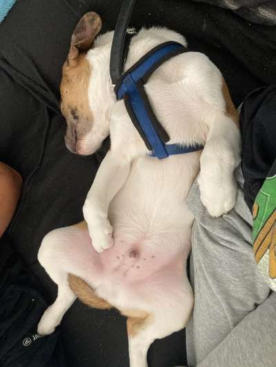 Handy-Foto Challange Nr. 10-Beitrag-Bild