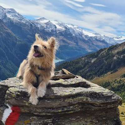 Lieblingsbild-Beitrag-Bild