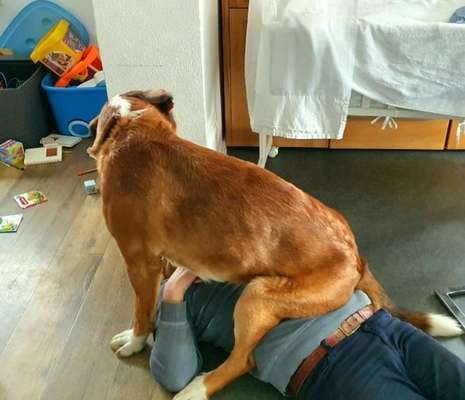 149. Foto Challenge: Wer ist hier der Boss!-Beitrag-Bild