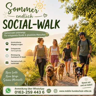 Giftköder-Sommer Social Walk mit Picknik-Bild