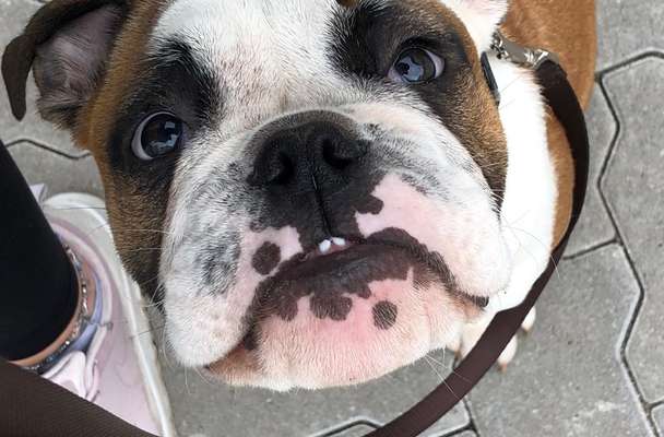 Fotochallange Nr. 57     PORTRÄT.   Beendet!!!!!!!!-Beitrag-Bild