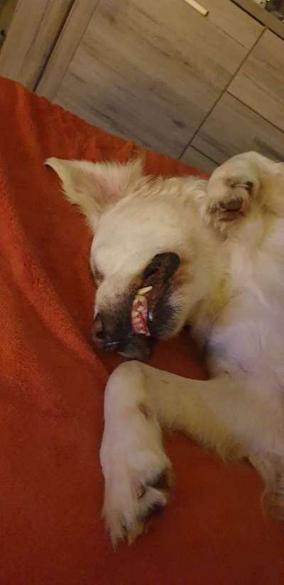 Die unbequemsten und lustigsten Schlafpositionen-Beitrag-Bild