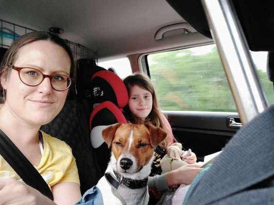 Dansky (Dansk-Svensk Gårdshund)-Beitrag-Bild