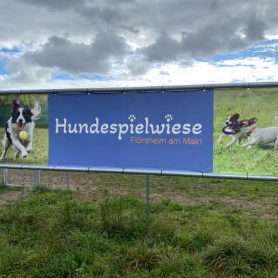 Hundeauslaufgebiet-Hundespielwiese Flörsheim-Bild