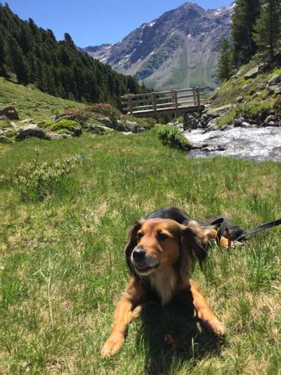 Fotochallenge Nr 107-Beitrag-Bild