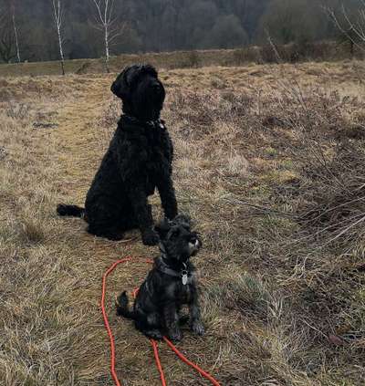 Lieblingsbild-Beitrag-Bild