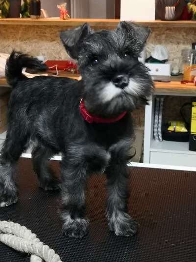 Lieblingsbild-Beitrag-Bild