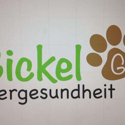 Ernährungsberater Ilka Gickel in Bassum  – Dogorama