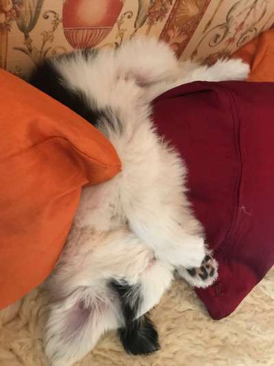 Erstes Bild-Beitrag-Bild