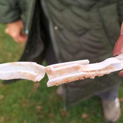 Giftköder-Giftköder-Bild