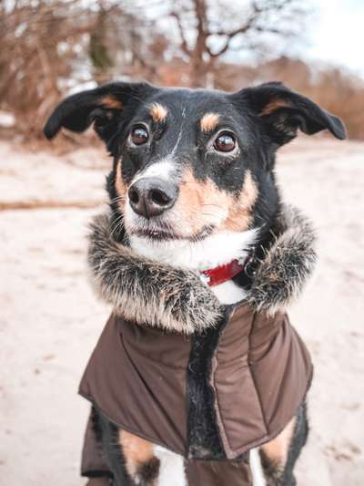 Austausch zur Fotografie-Beitrag-Bild