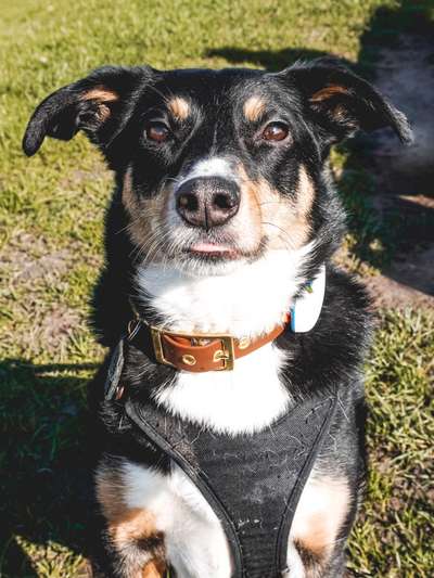 Austausch zur Fotografie-Beitrag-Bild