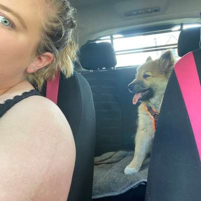 Hundetreffen-Gassi Runde / Spieletreffwn