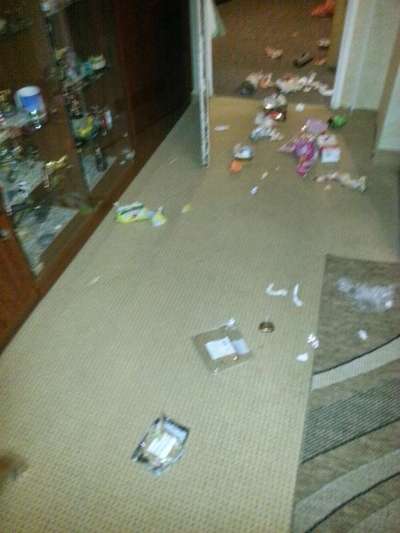 Zeig mir, dass du mit einem hund zusammenlebst....-Beitrag-Bild