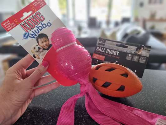 Kauspielzeug-Beitrag-Bild