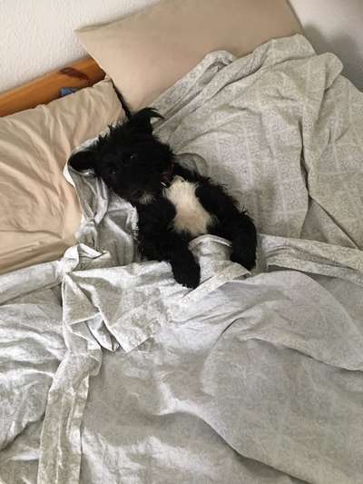 Foto Challenge Nr. 134-Beitrag-Bild