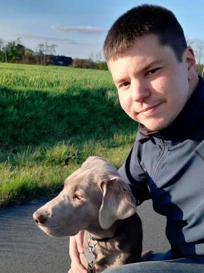 Hundetreffen-Gemeinsam spazieren in und um Münster-Bild