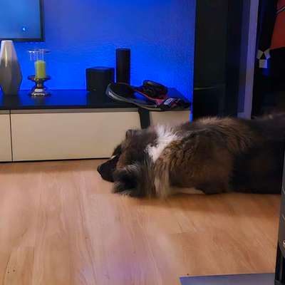 Wie habt ihr den Silvesterabend verbracht?-Beitrag-Bild