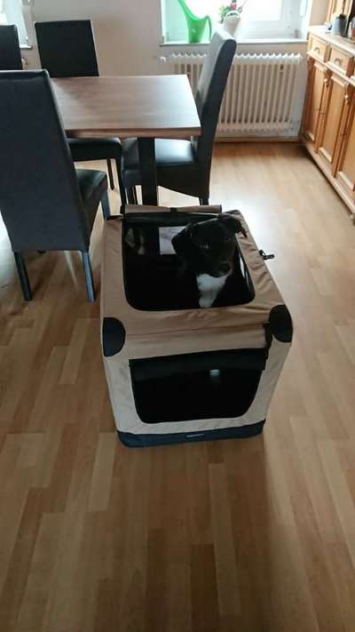 Erstausstattung-Beitrag-Bild