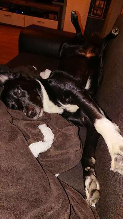 Verrückte Schlafpositionen-Beitrag-Bild