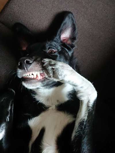 Lustige Grimassen & verrückte Posen-Beitrag-Bild