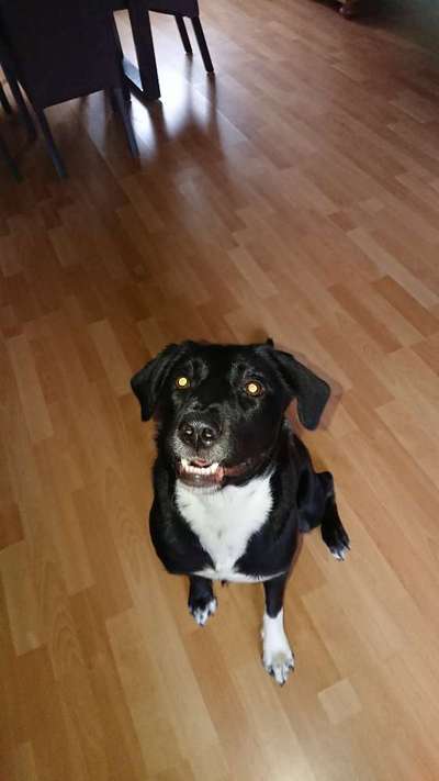 Lustige Grimassen & verrückte Posen-Beitrag-Bild