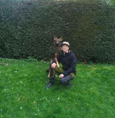 Eure liebsten Tricks-Beitrag-Bild