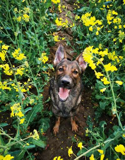 Handy-Foto Challange Nr. 10-Beitrag-Bild