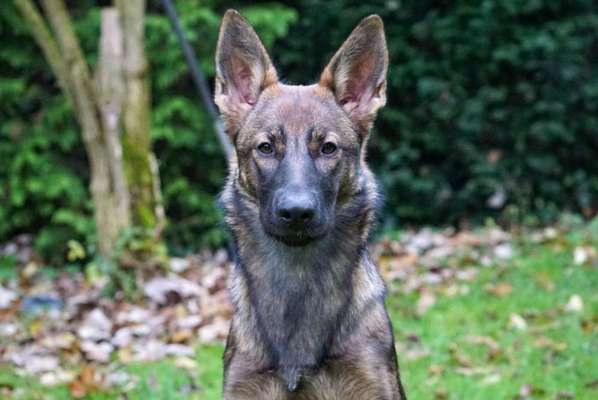 Blick fürs Detail!-Beitrag-Bild