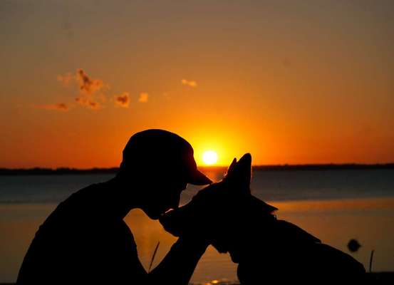 98.Fotochallange  - Hunde zeigen Zuneigung-Beitrag-Bild
