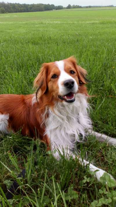 Doppelgänger gesucht !-Beitrag-Bild