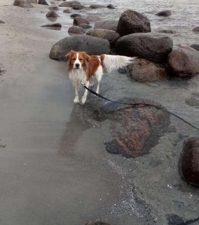 Fotochallenge Nr.100 Urlaubsimpressionen-Beitrag-Bild