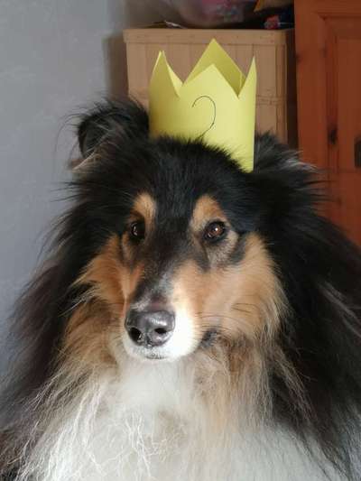 Zeigt eure Portraits-Beitrag-Bild