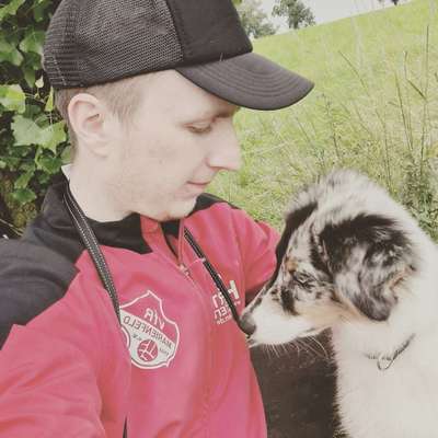 Hundetreffen-Spiel treffen mit Junghündinnen-Profilbild