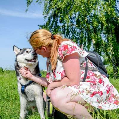 Hundetreffen-Spiel/Gassi Freund gesucht-Profilbild