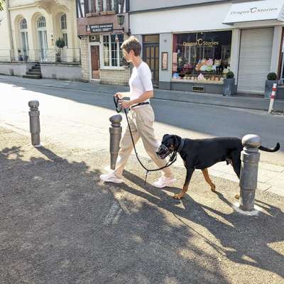 Giftköder-Kennenlern-Gespräch & Einzeltraining-Bild