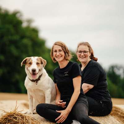 Hundeschulen-Coaching für Mensch und Hund-Bild