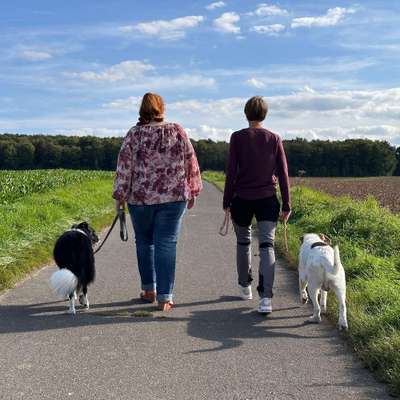 %{de_profession_title}-Übungstreffen-Bild