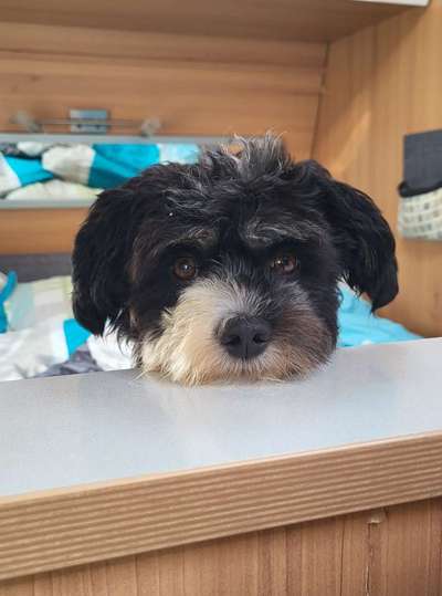 147. Foto Challenge: Bettelblick-Beitrag-Bild