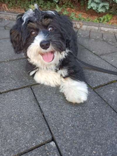 Handyfoto challenge Nr. 13: Waschlappen raus!-Beitrag-Bild