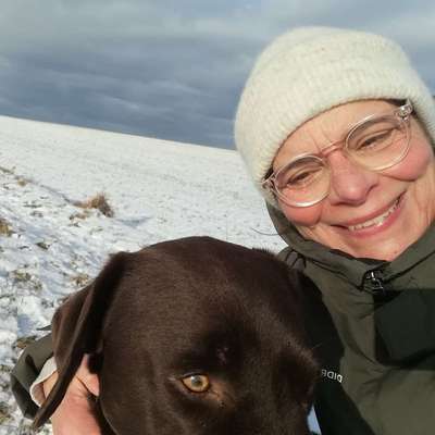 Hundetreffen-Freundliche Kumpel für meinen Labbi