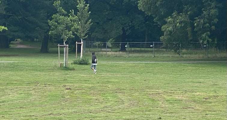 Giftköder-Aggressiver Mann-Bild