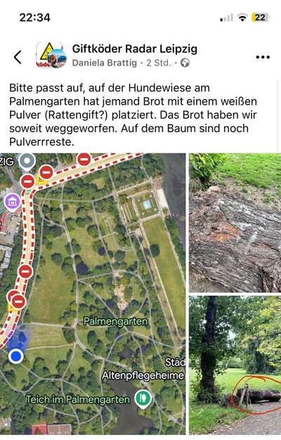 Giftköder-Brot mit Pulver?-Bild